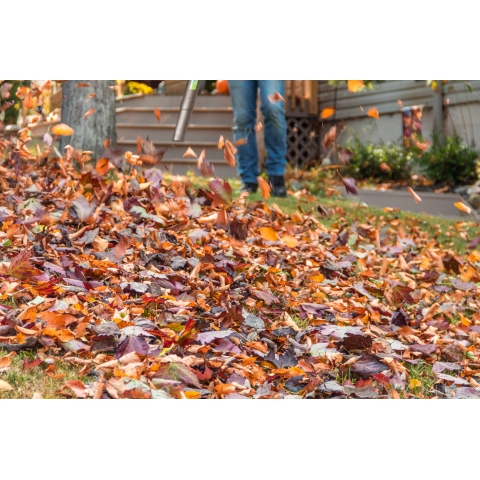 MYLEK 4orce Cordless Hedge Trimmer with Cordless Leaf Blower